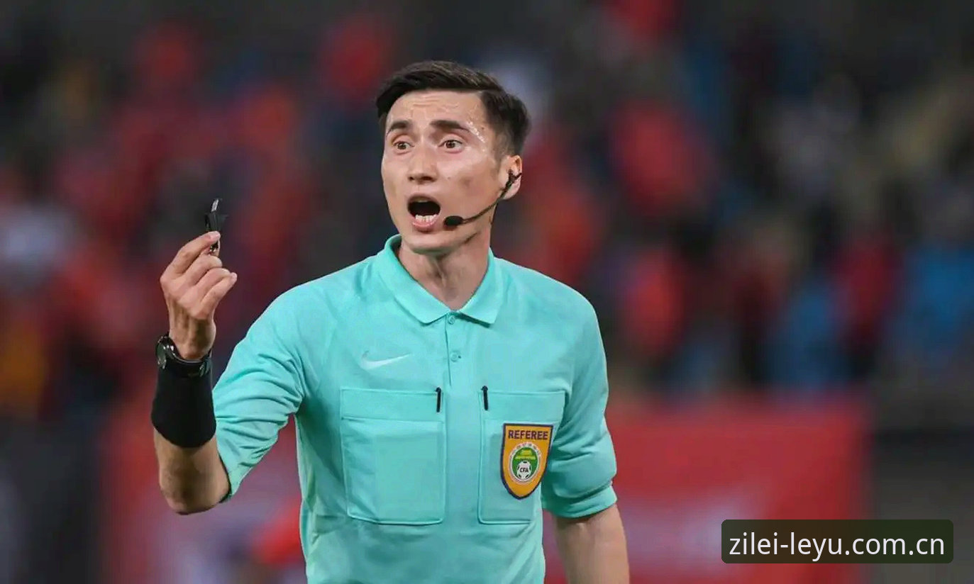 马宁世界杯执裁背后：裁判与观众关系的真相解读